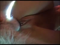 Zoofilia porno of dog dick inserted to lady's pussy